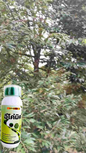 อีโค่มิค เร่งการเจริญเติบโต ใบ ยอด ต้น (500cc.)