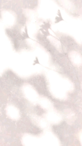 Nước Hoa Vùng Kín Nữ Ormkornnaphat Cao Cấp Nước Hoa Cô Bé Thơm Lâu Gợi Cảm Dạng Xịt 10ml_ Khử Mùi Nội Y  Khô Thoáng