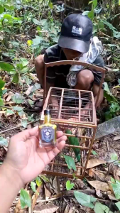 COD Suplemen Burung Dan Doping Burung 50ML BLACK JACK By Billbost Master Doping Vitamin Dan Suplemen Burung Juara Burung Peliharaan Burung Pengicau Premium Limited Edition untuk Semua Jenis Burung Vitamin Lomba 50ml