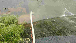 bơm chìm không chổi than 48/60/72v 1100w 40m3/h đẩy cao 25m