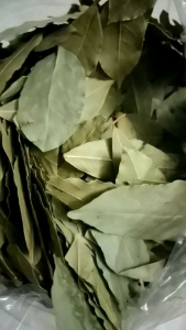 (50gr) LÁ NGUYỆT QUẾ  sấy khô ( nguyên lá) làm gia vị tốt cho tiêu hóa làm đẹp da mặt