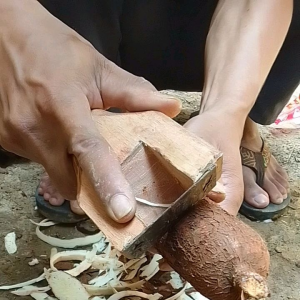 Alat Pengupas Singkong Dan Lain Lain / Alat Pengupas Siap Pakai