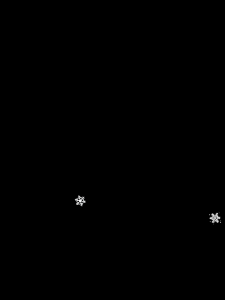 ผ้าพันคอหมีเนย ผ้าพันคอ Wonderland Wishes Scarf ผ้าพันคอ ลายหมีเนยคริสต์มาส