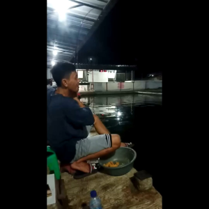 Umpan Galatama Lelepatinbawal Siap Pakai