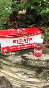 [ 10 lọX 5ml]B12-ATP Asta Tăng thể lực cho ngựa đua gà chọi chó nghiệp vụ.