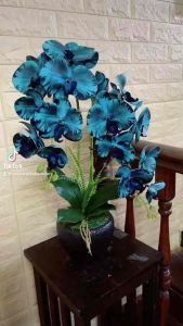 Orkid latex 2 tangkai siap gubah