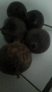 Buah Delima Hitam: Kelebihan & Manfaatnya