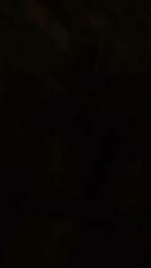 PRELOAD ADJUSTER ALA ALA / VARIASI V 1.3 PNP ALL Shock Tabung Atas dan Bawah Full Alumunium CNC