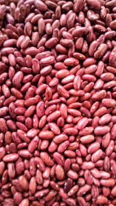 Benih Kacang Merah, Jogo & Loreng Sayur (50 Butir)