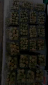 Ciplukan Segar Goldenberry Cecenet