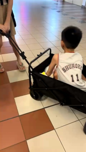 Multi-Purpose Foldable Camping & Shopping Wagon