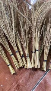 Jual merang ketan hitam / jerami ketan hitam perikat-az