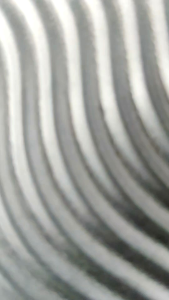 Sandal Slop Anak Perempuan Jibit Labubu Terbaru Vertali