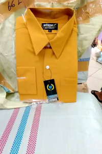 Kemeja Pria Formal Warna Kuning Gold & Kemeja Polos Lengan Panjang