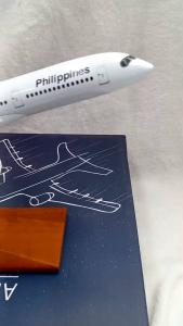 Philippines Airlines F-WZNA 221 A350 Diecast Aircraft Model Collection 29x29 cm for Collectors and Enthusiasts