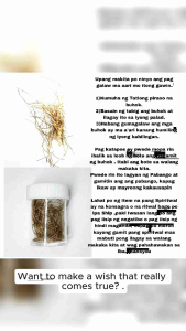 Charm And Protection Kahoy  himag buhok na gumagalaw wishing bottle