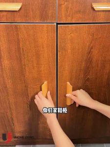 [Local Seller] Clear Wide Shoe Rack Layer Divider Shoe Storage Device