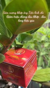 Sâm xương khớp tế bào gốc Linh Chi Ông Tiên chính hãng Mỹ