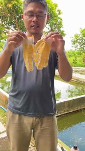 Sarung Tangan Bintik Rajut Benang Dot Dotting Bintik perlusin