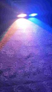 lampu panggung fresnel cob RGBW 4 in 1 (200w)