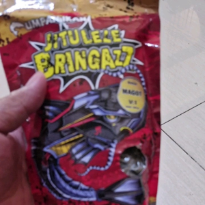 Umpan Jitu Lele Bringazz 500grm: Panduan Lengkap