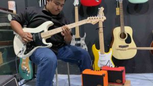 Gitar elektrik Difergio maple model stratocaster