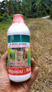 BASLANG CAIRAN PINTAR PEMBASMI RUMPUT LIAR DAN GULMA - RUMPUT LIAR KERING DAN MATI