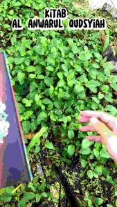 Kitab ANWARUL QUDSIYAH