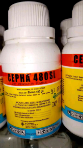 CEPHA 480SL ZAT PENGATUR TUMBUH 100ml