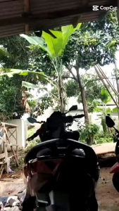 stoplamp running Vario 125 / 150 model Batman Fuul merah 10 mode otomatis