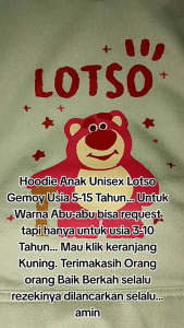 Sweater Hoodie Anak Laki-laki Terbaru Lotso Bahan Katun Fleece Usia 5-15 Tahun