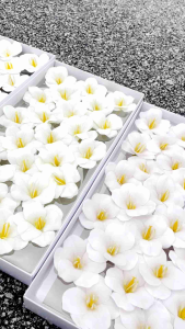 LELE (25pcs)Premium Bunga Sabun Tulip Berbuka Premium新款香皂开花郁金香 Soap Blossom Tulip Soap Flower