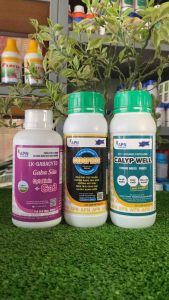 Giải pháp thúc trái lớn thần tốc nhanh hiệu CABOPHOS CALYP WELL GA3 SỮA của apn