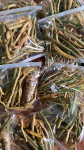 Jual akar daun pandan segar alami-az