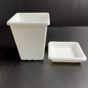 กระถางสี่เหลี่ยมทรงสูง พร้อมจานรอง สีขาว ขนาด 7 นิ้ว สูง 8 นิ้ว กระถางบอน กระถางมินิมิล พลาสติกหนา เหมาะกับต้นไม้ทรงสูง พร้อมจานนรอง