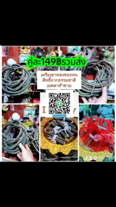 เครือเถาหลง ชนิดนี้เป็นมวลสารในการสร้างวัตถุศักดิ์สิทธิ์