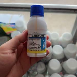 Thuốc trừ sâu Selec One 100ml trừ bọ trĩ nhện đỏ rệp sáp sâu tơ sâu xanh sâu cuốn lá rầy xanh bọ nhảy sâu khoang