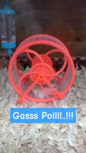 JOGGING HAMSTER SPORT - ROLLING WHEEL HAMSTER