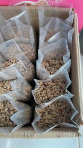 ข้าวกล้องซ้อมมือ