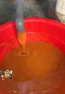 Artemia Lon Vàng Ấp Nở Trung Quốc tỉ lệ nở cao - Lon 425gram Thức Ăn Cá Dạng Viên Phụ Kiện Nuôi Cá Cảnh - Lazada