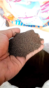 PELET PF 1000 PAKAN IKAN MAKANAN IKAN STANDING POUCH KEMASAN REPACK 250 GRAM