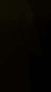 KAOS DISTRO KADAL CONCEPT/KAOS KDLGNK