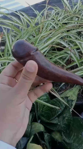 Pipa Kayu Asem Model Unik & Lentik A622