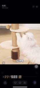 宠物猫咪狗狗除臭剂室内抑菌去猫尿狗尿猫砂除味消臭清新喷雾用品