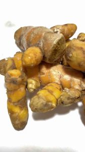 Bột Nghệ Vàng nguyên chất SATACHI. Tăng cường miễn dịch sức khỏe tim mạch ngủ ngon. Hộp 128g