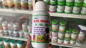 Root.Organic B1-B6-B12 Cân Bằng PH Trong Đất-Hạ Phèn Kích Rễ Rau Màu Và Cây Trồng chai 500ml
