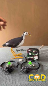 Fullset Paket Jerat Racik Jebakan Ruak Ruak Kareo Padi + Speaker Box