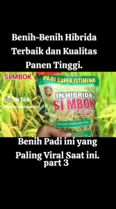 Benih padi INHIBRIDA SI MBOK (1KG) Di formulasikan khusus untuk memaksimalkan hasil produksi f2 berkualitas terjamin.