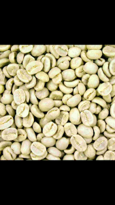 kopi Robusta siung Argopuro kopinya orang elit kemasan 1 kg