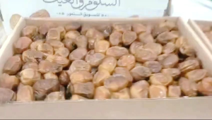 Kurma Sukari 1 Kg: Hadiah & Oleh-Oleh Haji Umroh